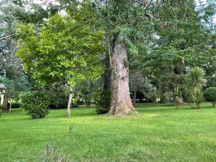 Les Demeures De La Laigne Bed & Breakfast Allas-Bocage Dış mekan fotoğraf