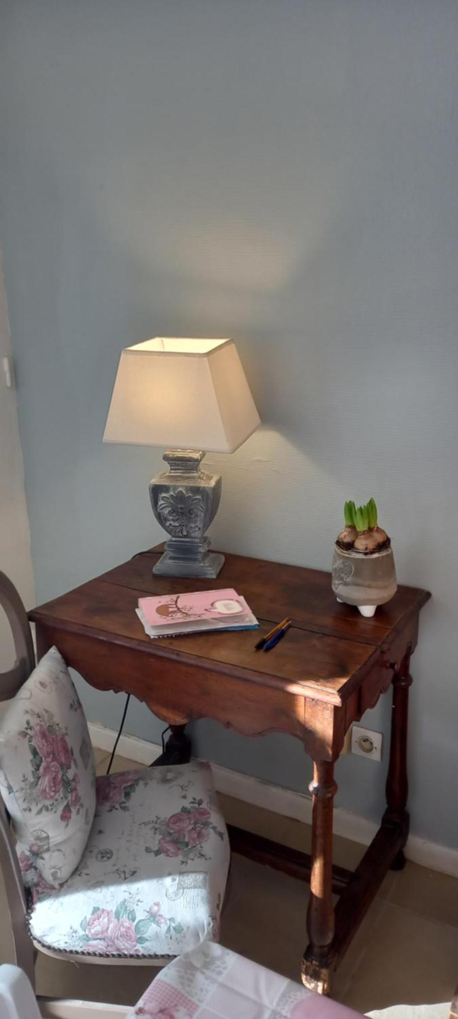Les Demeures De La Laigne Bed & Breakfast Allas-Bocage Dış mekan fotoğraf