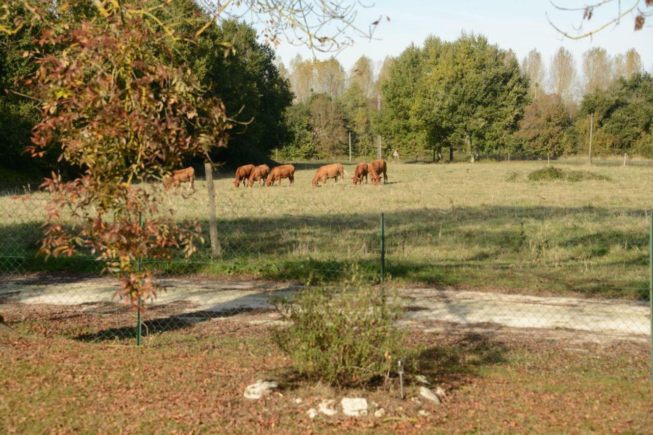 Les Demeures De La Laigne Bed & Breakfast Allas-Bocage Dış mekan fotoğraf